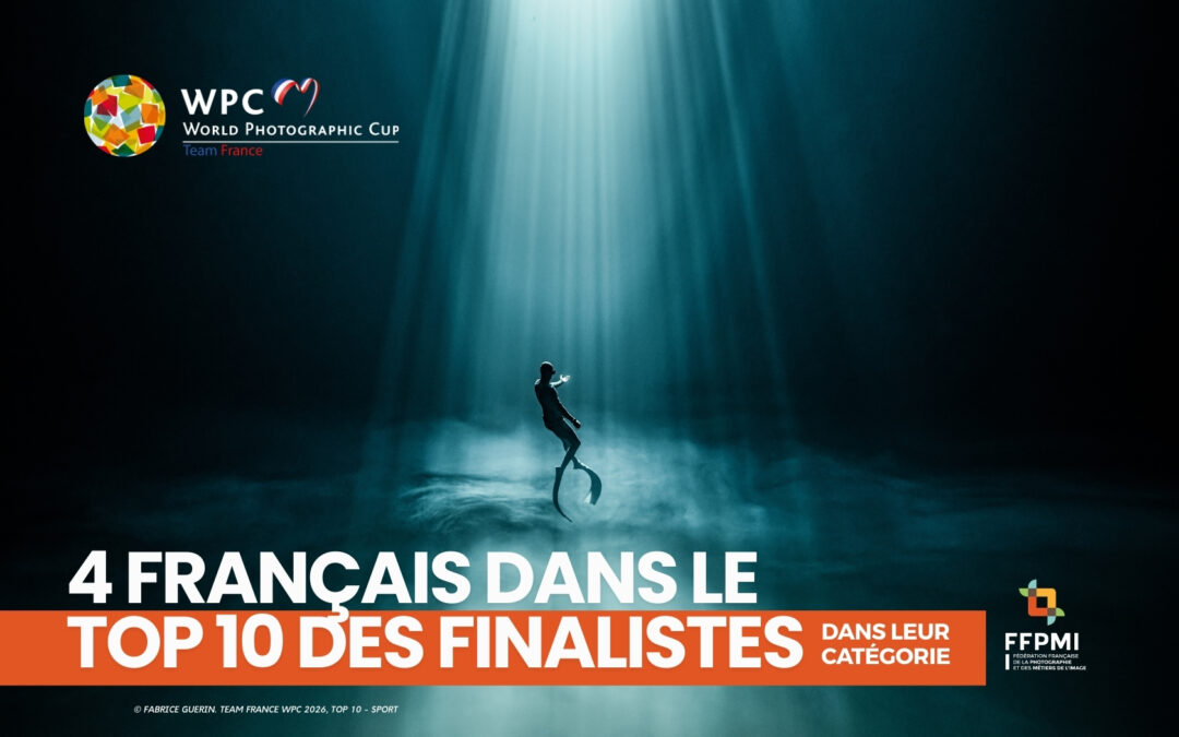 4 français finalistes dans leur catégorie