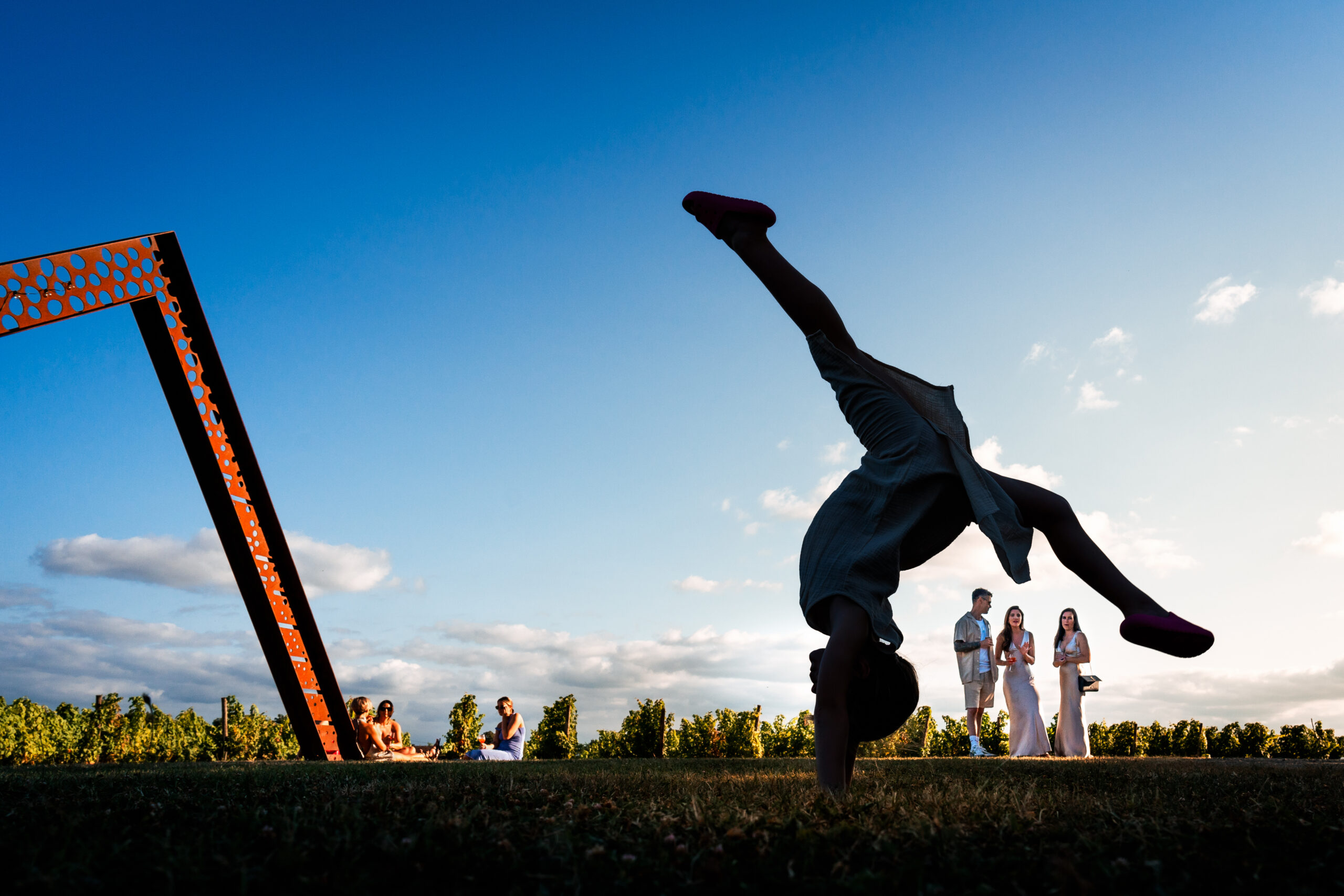 William Desse - WPC - Wedding Reportage - Chateau de Crouseilles, Crouseilles, France
