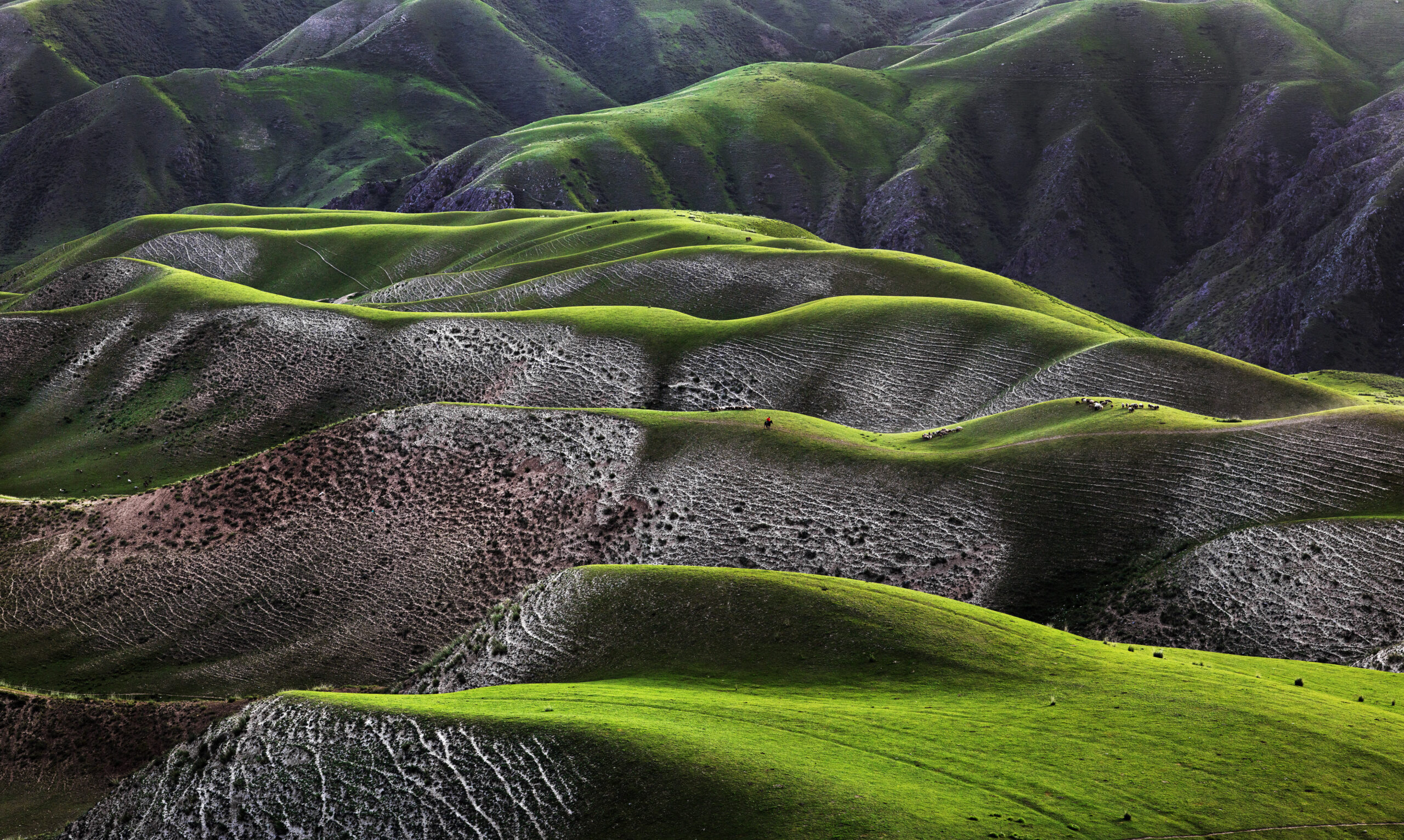 ©Thierry-Bornier